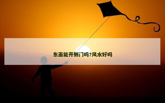 东面能开侧门吗?风水好吗