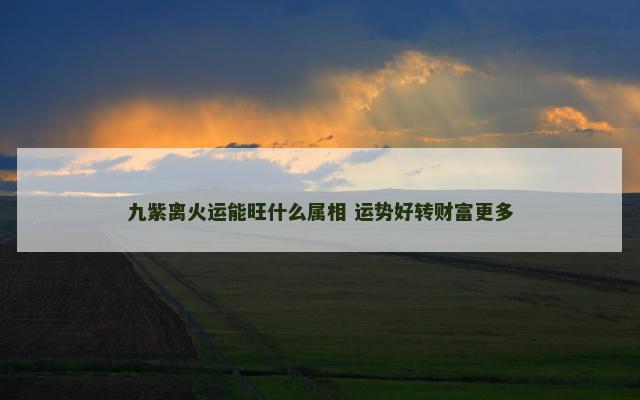 九紫离火运能旺什么属相 运势好转财富更多