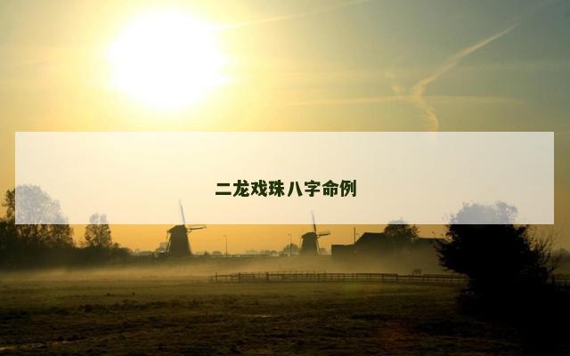 二龙戏珠八字命例