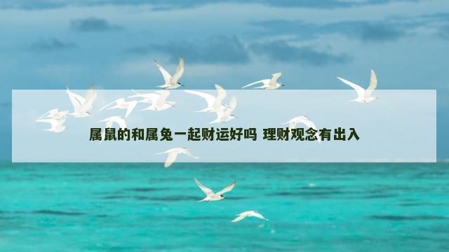 属鼠的和属兔一起财运好吗 理财观念有出入