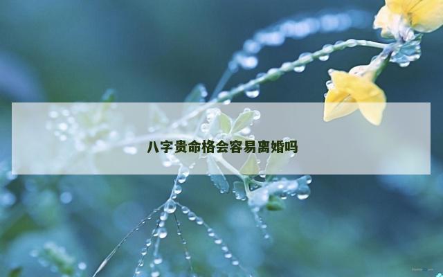 八字贵命格会容易离婚吗