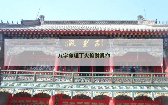 八字命理丁火偏财男命