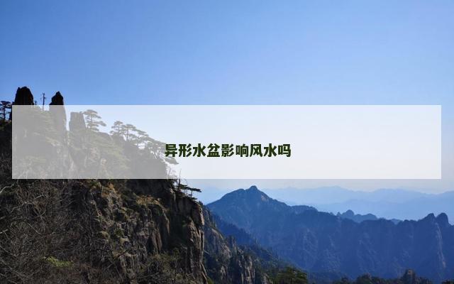 异形水盆影响风水吗