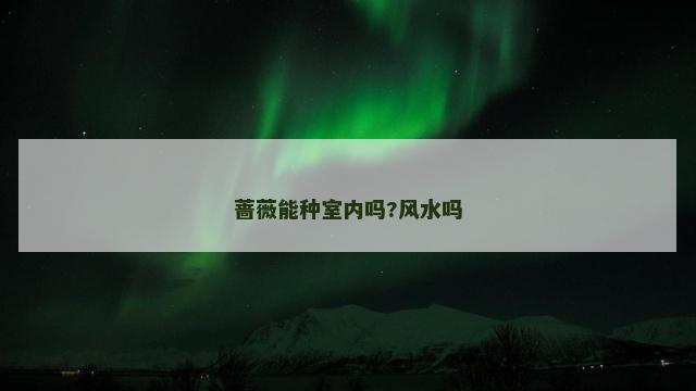 蔷薇能种室内吗?风水吗