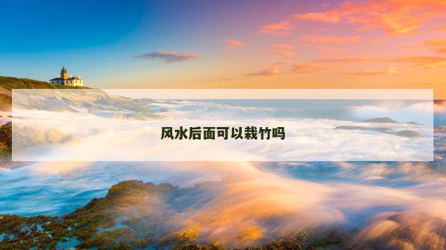 风水后面可以栽竹吗