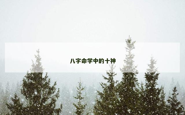 八字命学中的十神