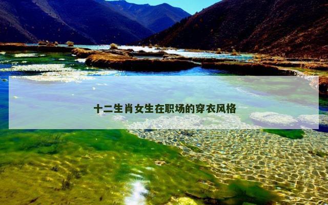 十二生肖女生在职场的穿衣风格