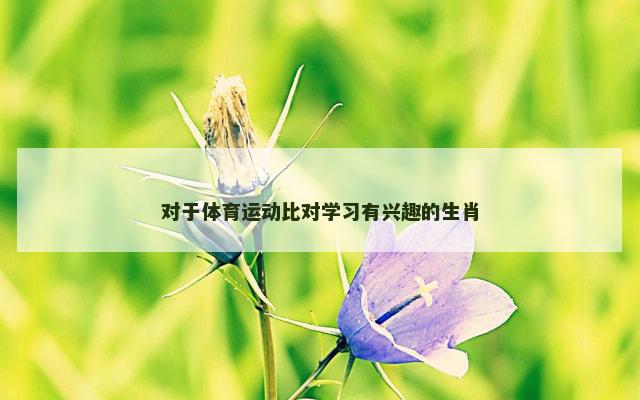 对于体育运动比对学习有兴趣的生肖