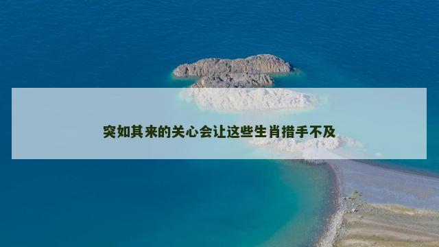 突如其来的关心会让这些生肖措手不及