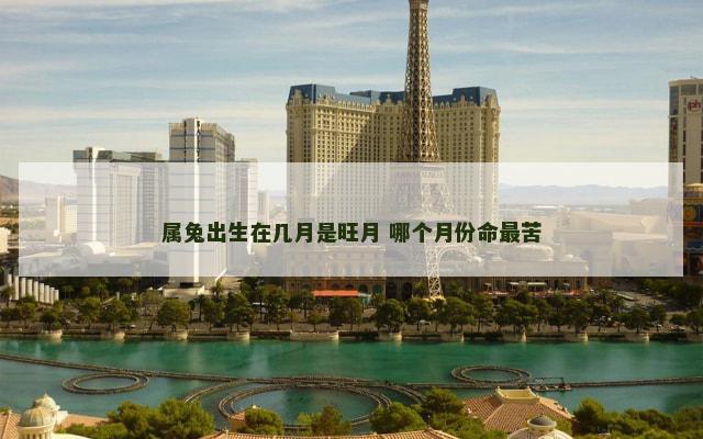 属兔出生在几月是旺月 哪个月份命最苦