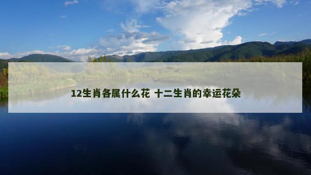 12生肖各属什么花 十二生肖的幸运花朵