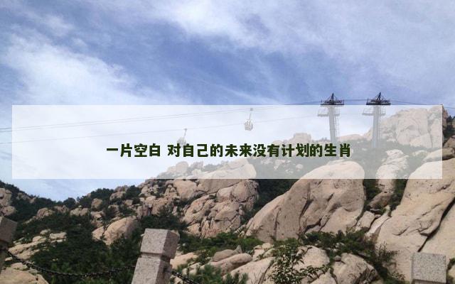 一片空白 对自己的未来没有计划的生肖