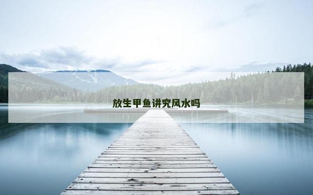 放生甲鱼讲究风水吗