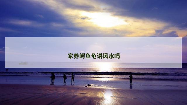 家养鳄鱼龟讲风水吗