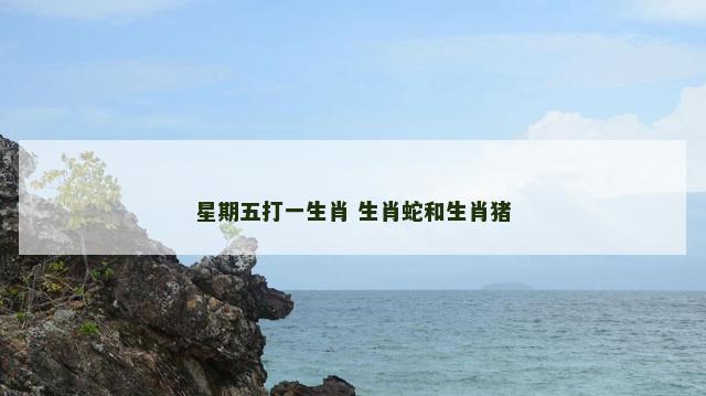 星期五打一生肖 生肖蛇和生肖猪
