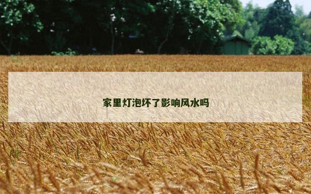 家里灯泡坏了影响风水吗