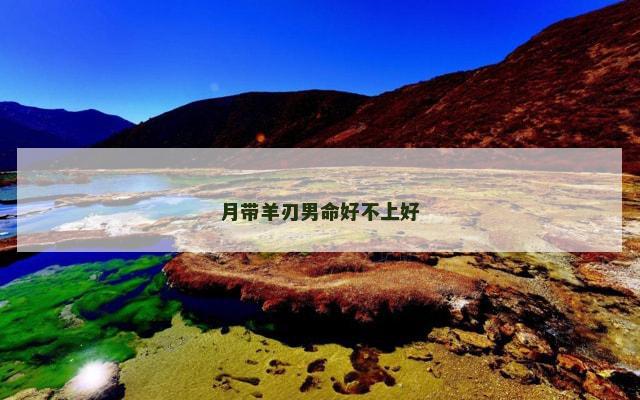 月带羊刃男命好不上好