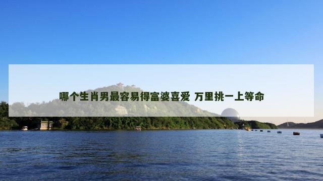 哪个生肖男最容易得富婆喜爱 万里挑一上等命