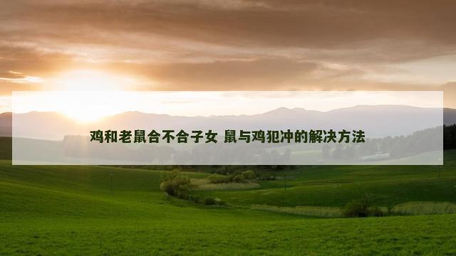 鸡和老鼠合不合子女 鼠与鸡犯冲的解决方法