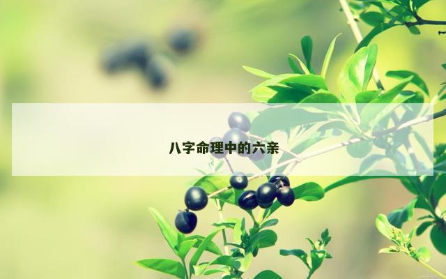 八字命理中的六亲