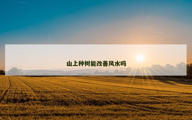 山上种树能改善风水吗