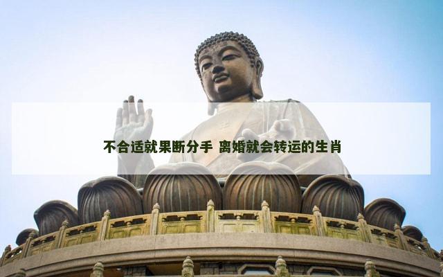 不合适就果断分手 离婚就会转运的生肖