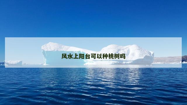 风水上阳台可以种桃树吗