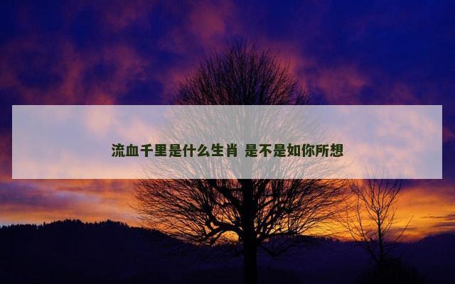 流血千里是什么生肖 是不是如你所想