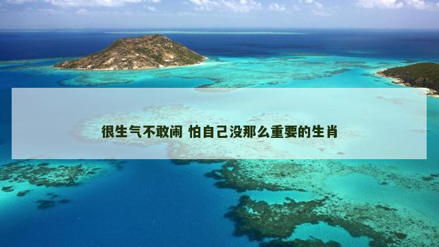 很生气不敢闹 怕自己没那么重要的生肖