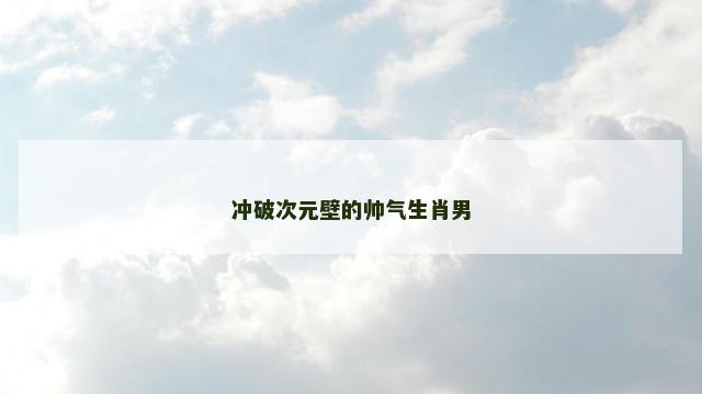 冲破次元壁的帅气生肖男