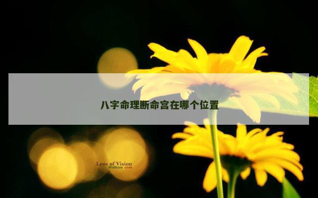 八字命理断命宫在哪个位置
