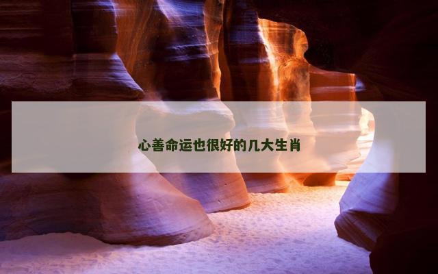 心善命运也很好的几大生肖