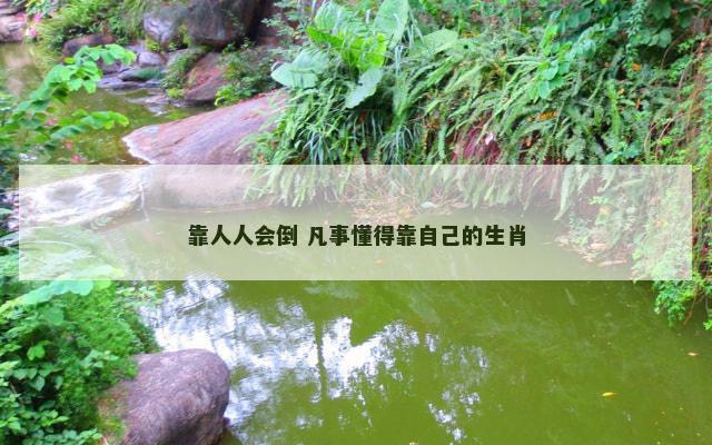 靠人人会倒 凡事懂得靠自己的生肖