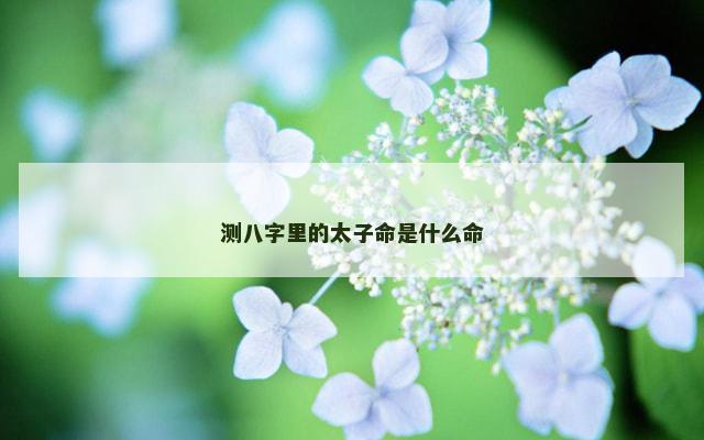 测八字里的太子命是什么命