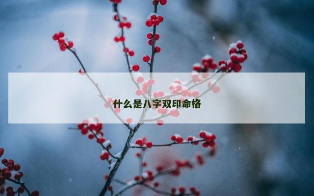 什么是八字双印命格