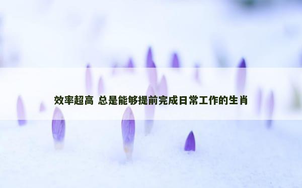 效率超高 总是能够提前完成日常工作的生肖