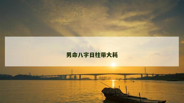 男命八字日柱带大耗