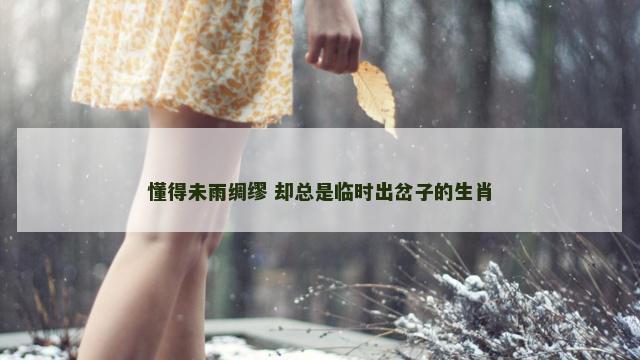 懂得未雨绸缪 却总是临时出岔子的生肖