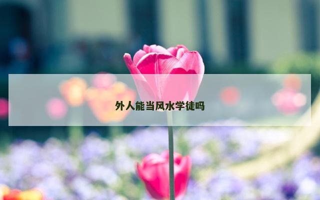 外人能当风水学徒吗
