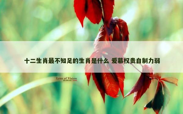十二生肖最不知足的生肖是什么 爱慕权贵自制力弱