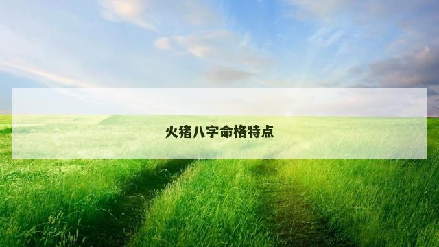 火猪八字命格特点