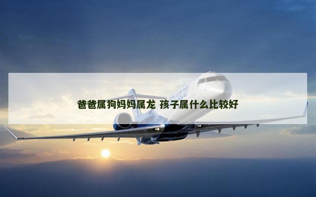 爸爸属狗妈妈属龙 孩子属什么比较好