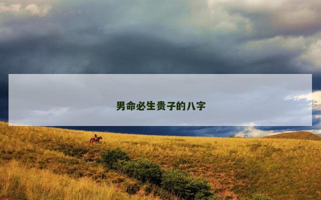 男命必生贵子的八字