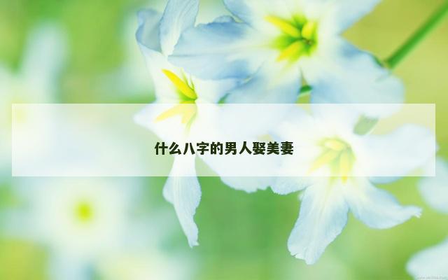 什么八字的男人娶美妻
