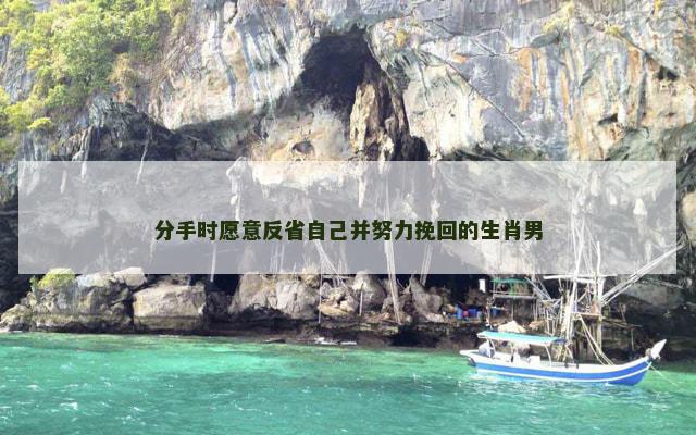 分手时愿意反省自己并努力挽回的生肖男