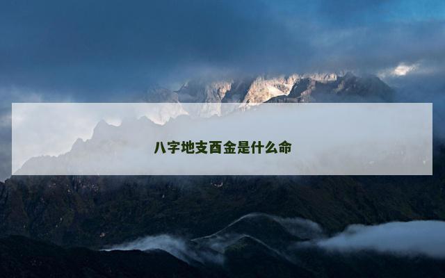 八字地支酉金是什么命