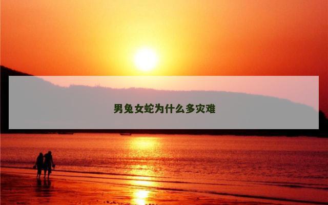 男兔女蛇为什么多灾难