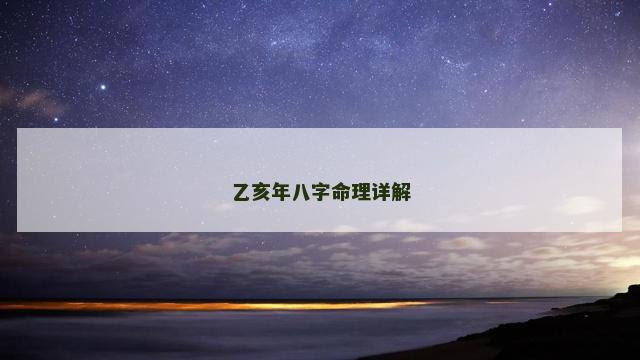 乙亥年八字命理详解