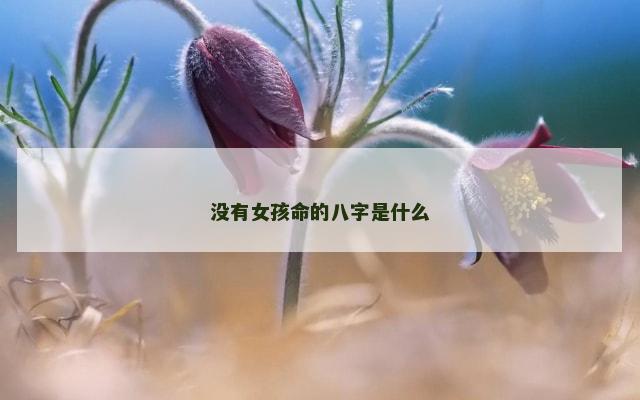 没有女孩命的八字是什么