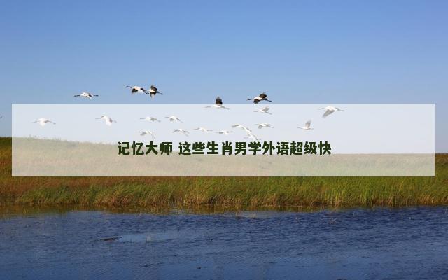 记忆大师 这些生肖男学外语超级快